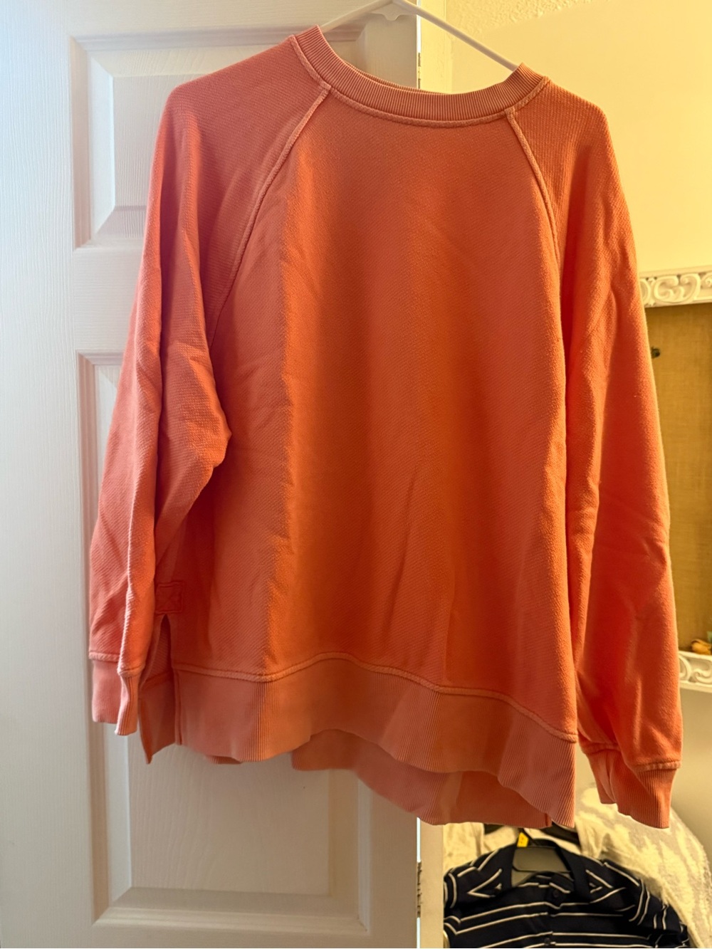 aerie Coral Crewneck Sweatshirt in Warm Coral-Orange
